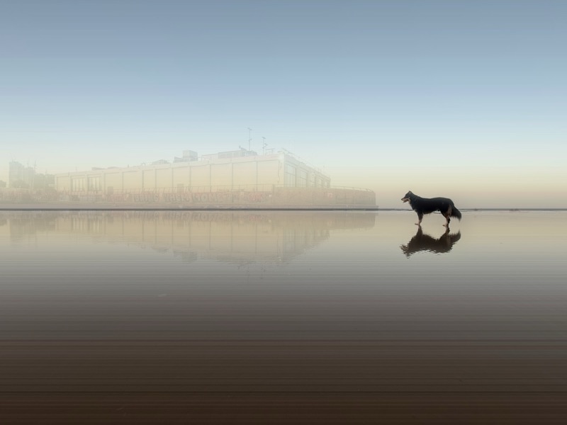 Final exported result